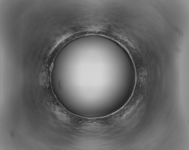 X0000110921256200906181401