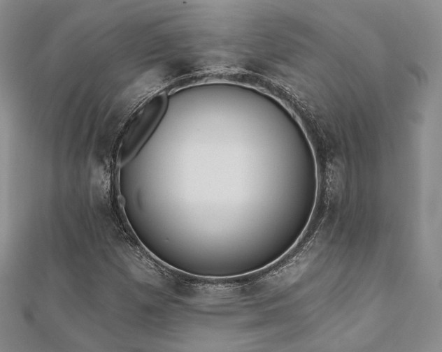 X0000110921257200906181401