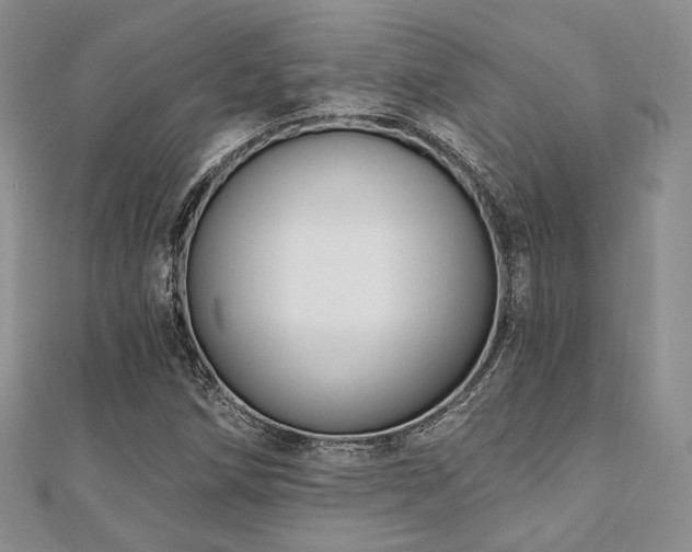 X0000110921258200906181401