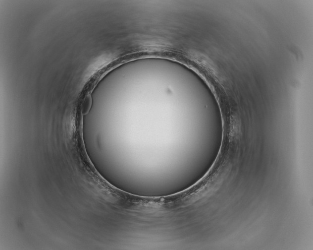 X0000110921261200906181401