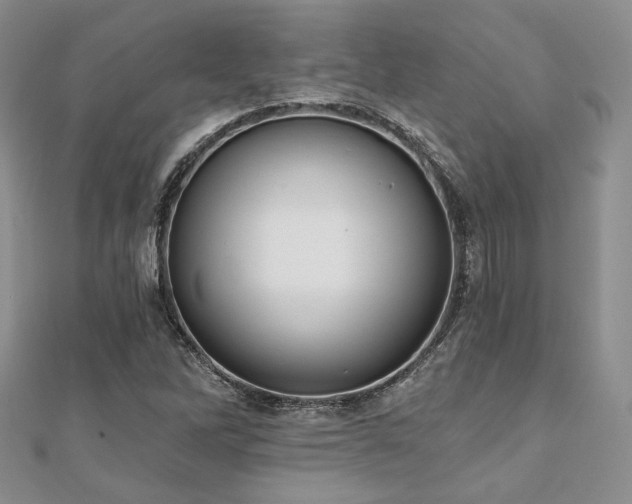 X0000110921262200906181401