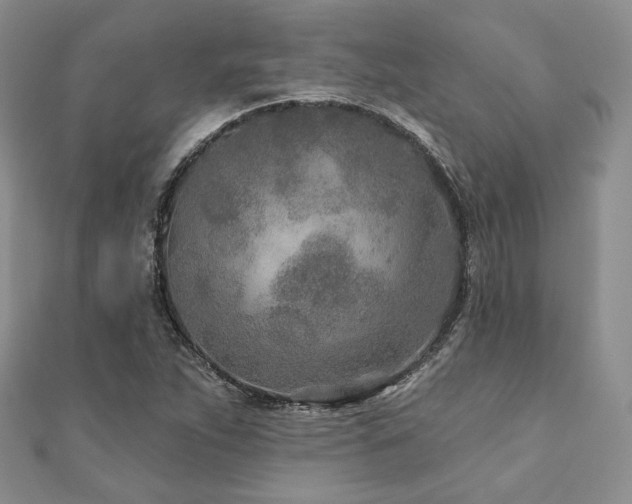 X0000110921263200906181401