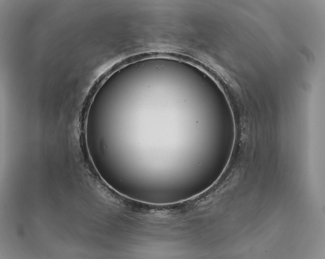 X0000110921264200906181401