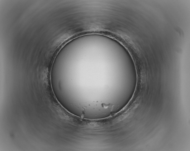 X0000110921265200906181401