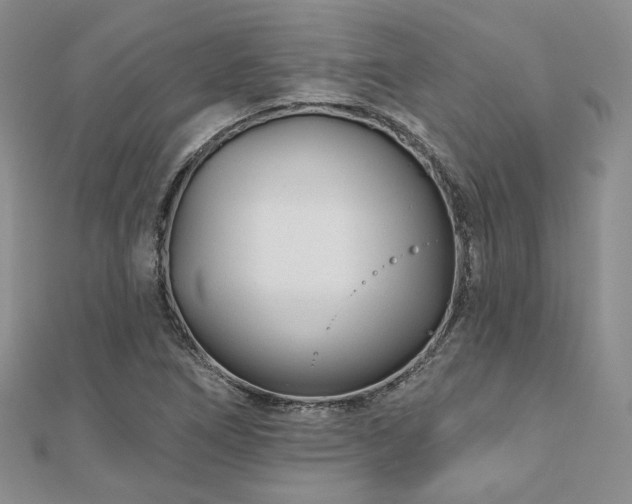 X0000110921266200906181401