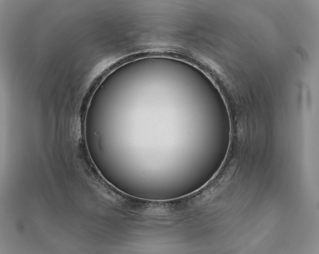 X0000110921267200906181401