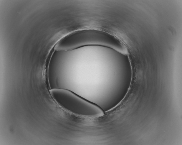 X0000110921268200906181401