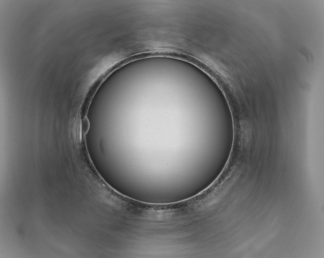 X0000110921269200906181401