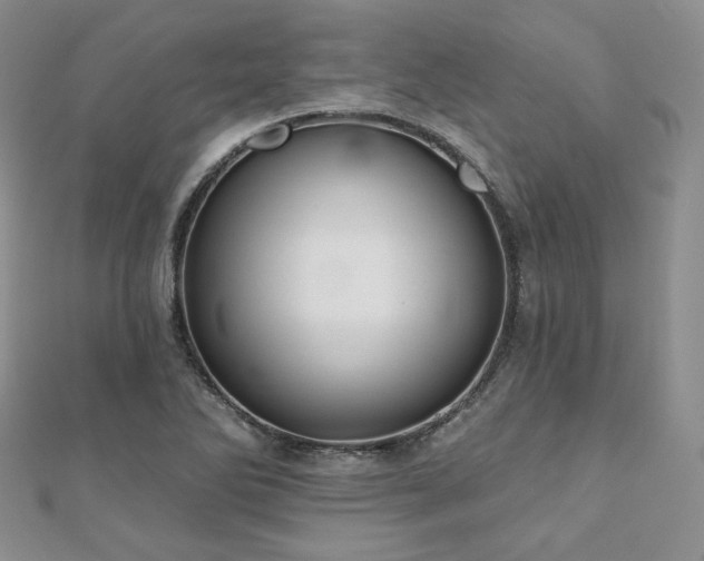 X0000110921270200906181401