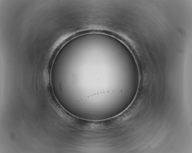 X0000110921271200906181401