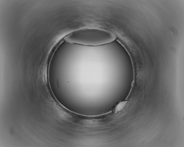 X0000110921272200906181401