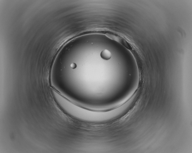 X0000110921273200906181401
