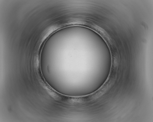 X0000110921274200906181401