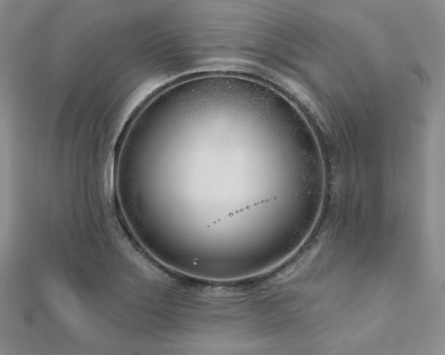 X0000110921275200906181401