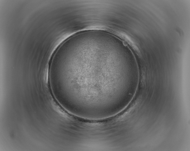 X0000110921276200906181401