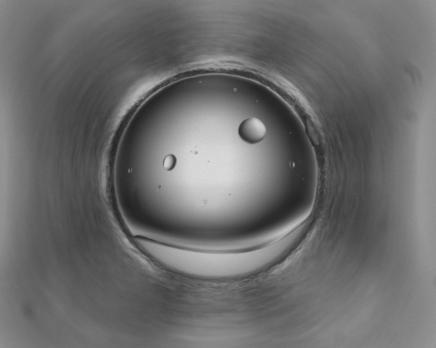 X0000110921277200906181401