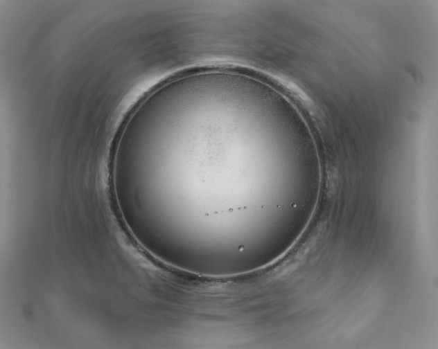 X0000110921279200906181401