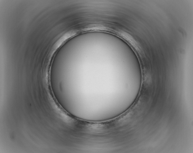 X0000110921282200906181401