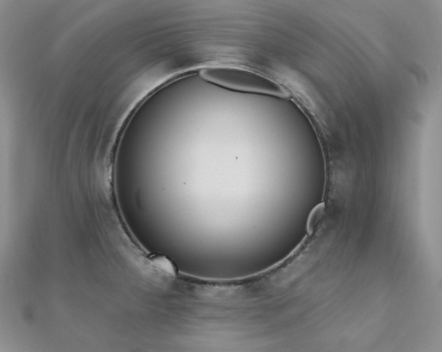 X0000110921284200906181401