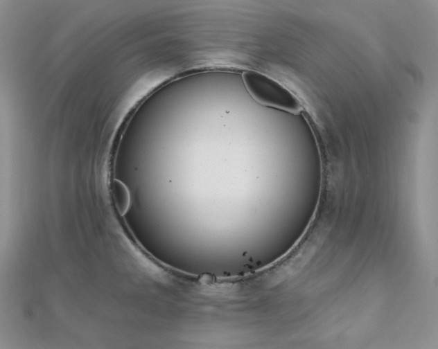 X0000110921285200906181401