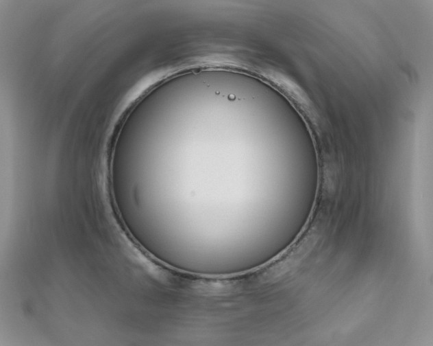 X0000110921286200906181401