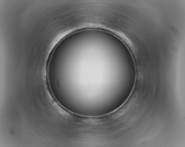 X0000110921287200906181401