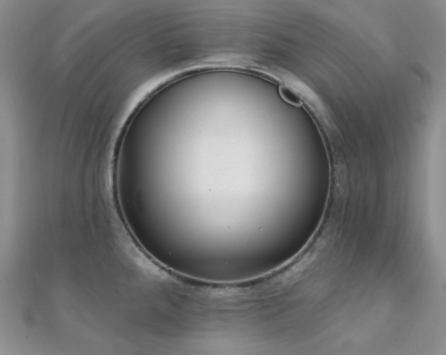 X0000110921288200906181401