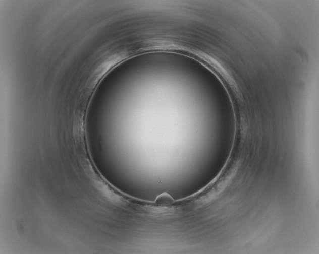 X0000110921289200906181401