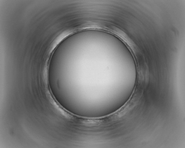 X0000110921290200906181401