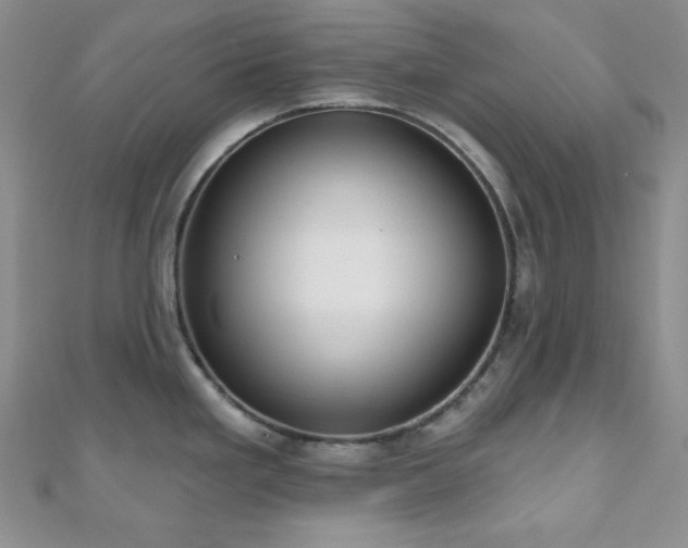 X0000110921293200906181401