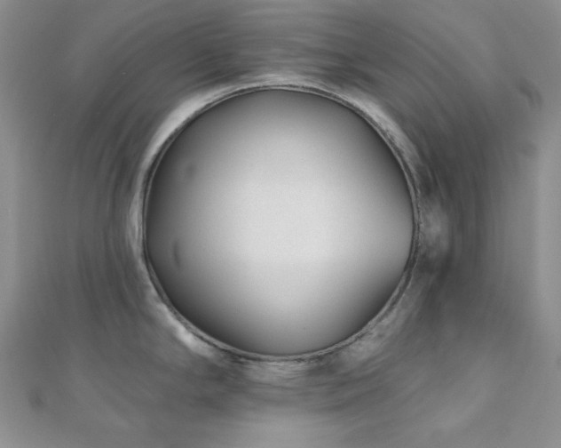 X0000110921294200906181401