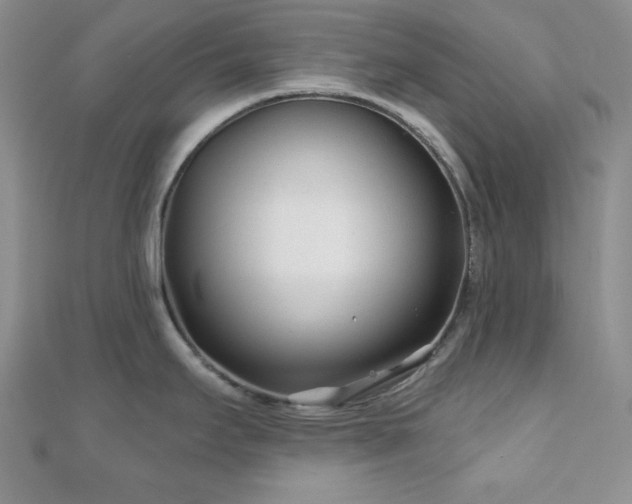 X0000110921295200906181401