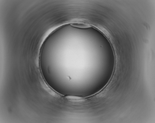 X0000110921296200906181401