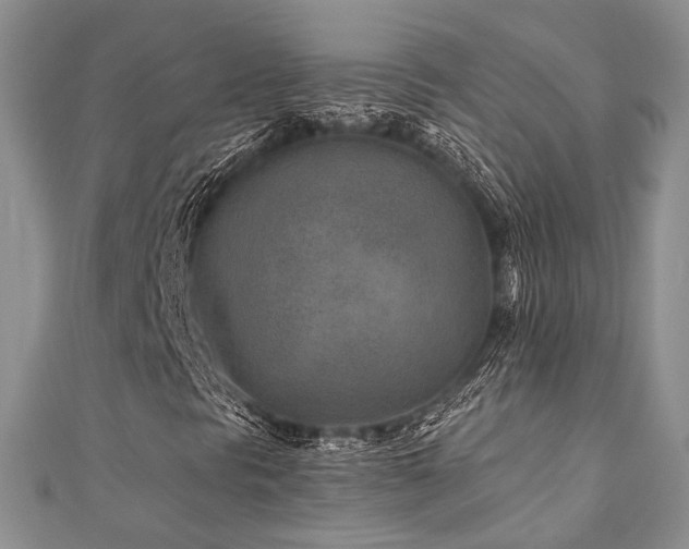 X0000110921297200906181400