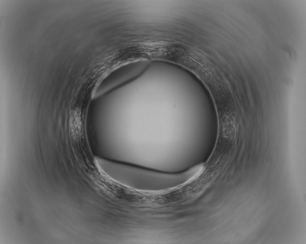 X0000110921298200906181400