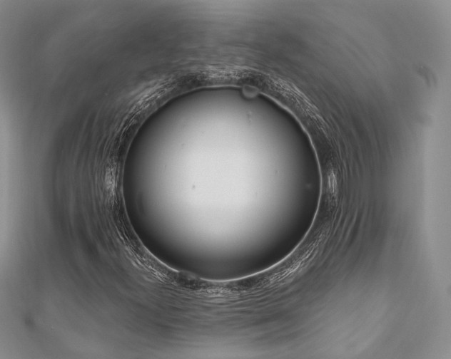 X0000110921300200906181400