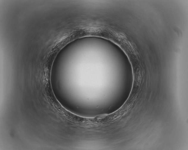 X0000110921301200906181400