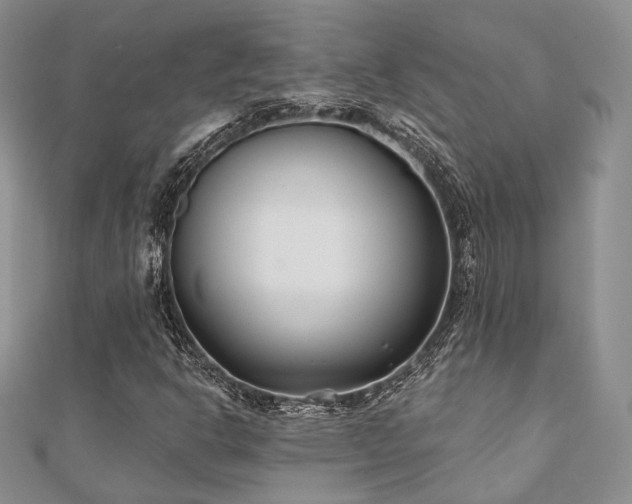 X0000110921302200906181400