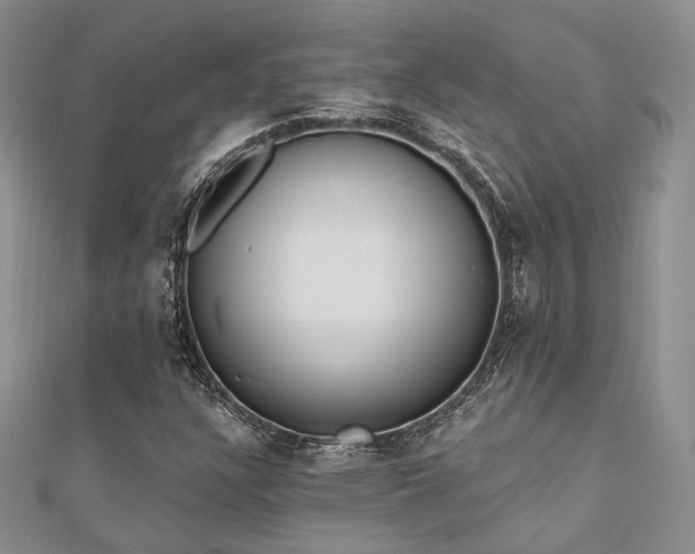X0000110921304200906181400