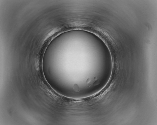 X0000110921306200906181400