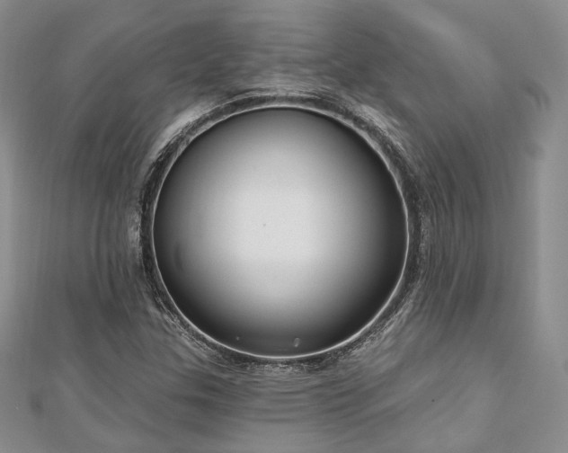 X0000110921307200906181400