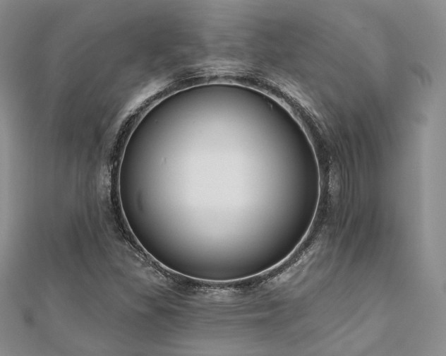 X0000110921309200906181400