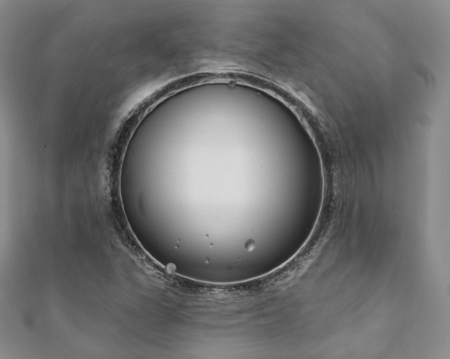 X0000110921311200906181400