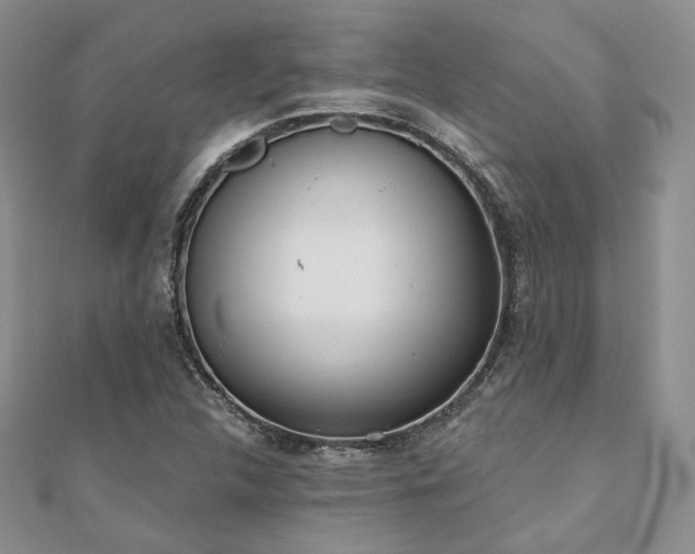 X0000110921312200906181400