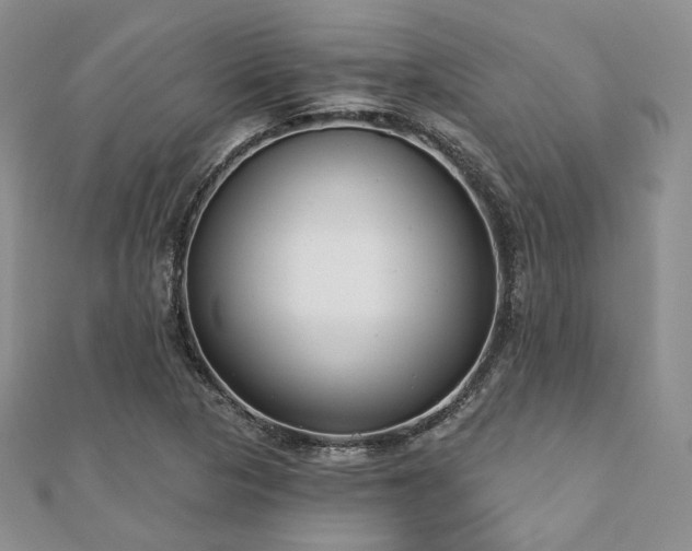 X0000110921313200906181400