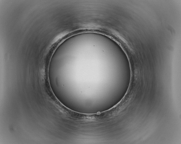 X0000110921315200906181400