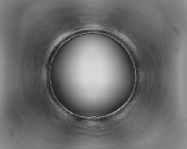 X0000110921318200906181400