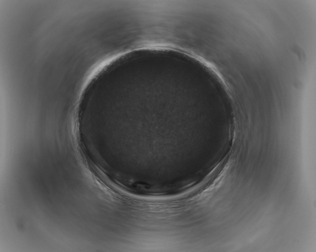 X0000110921319200906181400