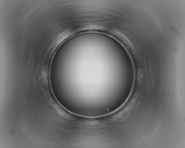 X0000110921321200906181400