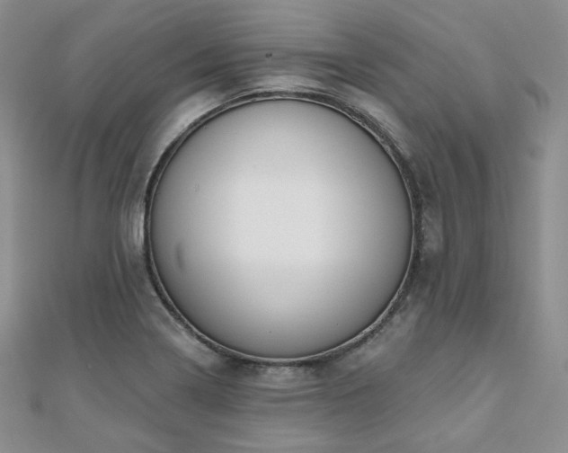 X0000110921322200906181400